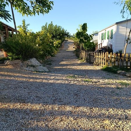 Castelserás Finca Los Pedrenales 빌라 외부 사진